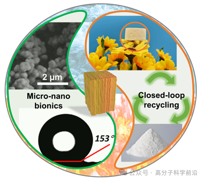 中國科大余彬教授ACS Nano：仿生納米結構動態聚亞胺氣凝膠，綠色可持續材料領域的新突破